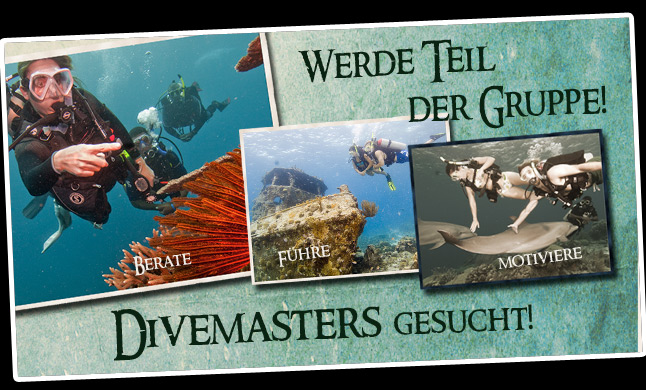 Divemaster Banner